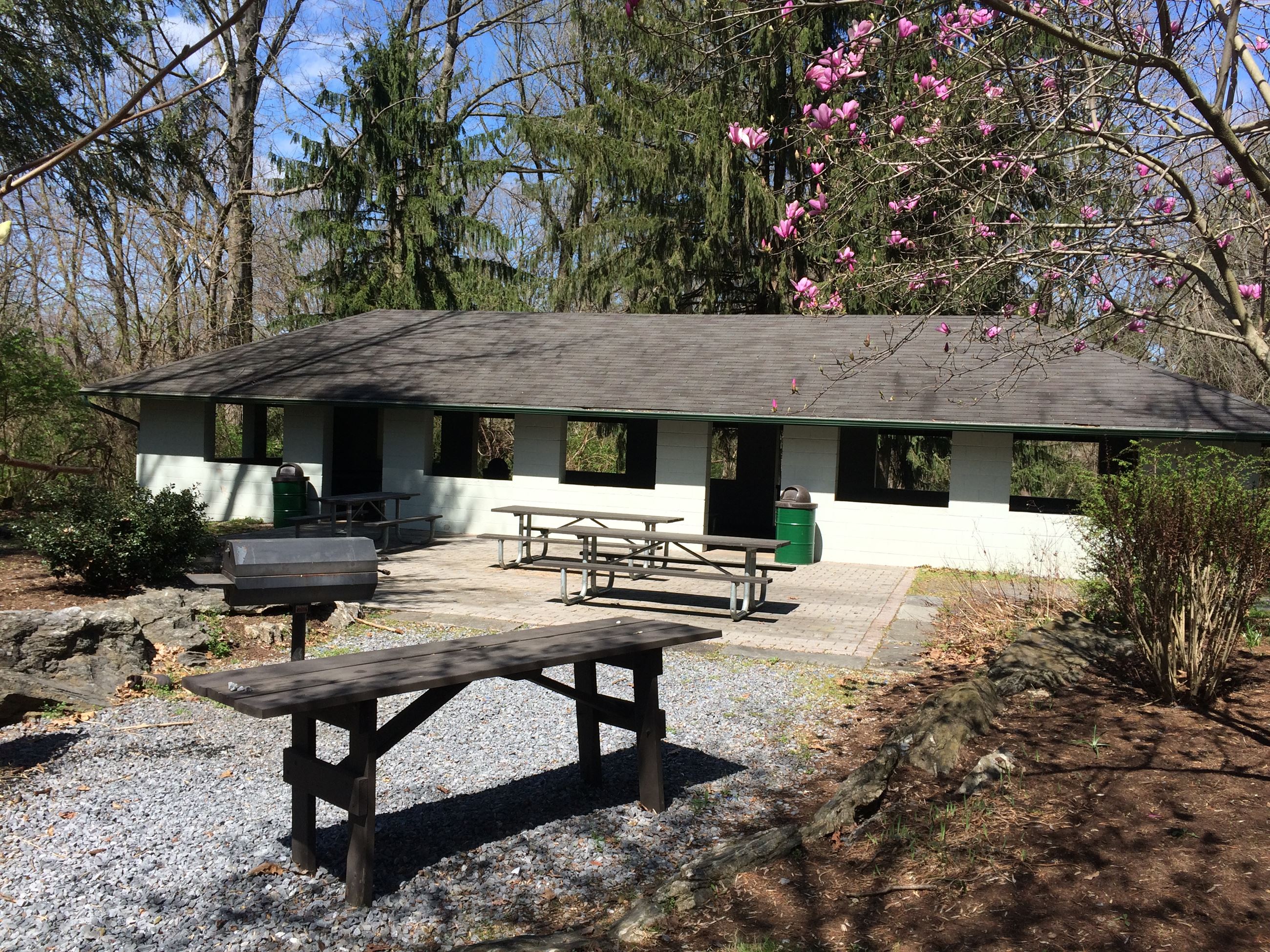 IMG_2335 Pav 32 Other Side of Patio