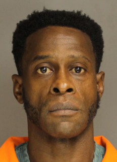 Willie Robertson Jr.